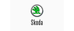 Профессиональный ремонт автомобильных стёкол в Обнинске на авто марки «Skoda»