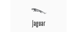 Профессиональный ремонт автомобильных стёкол в Обнинске на авто марки «Jaguar»
